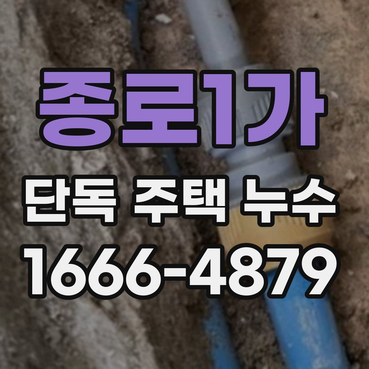 종로1가 단독 주택 누수