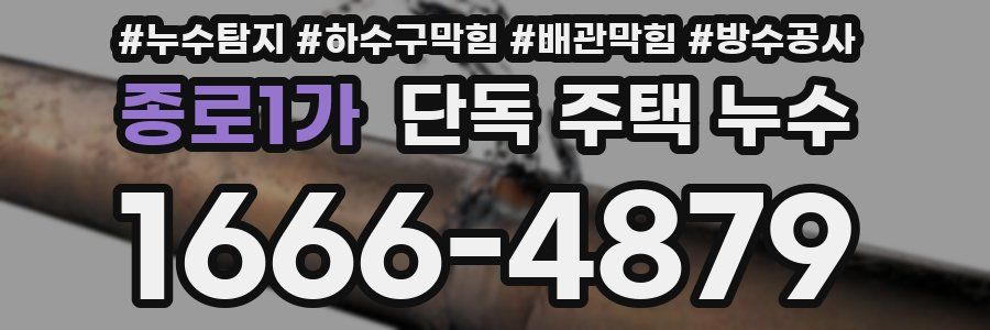 종로1가 단독 주택 누수