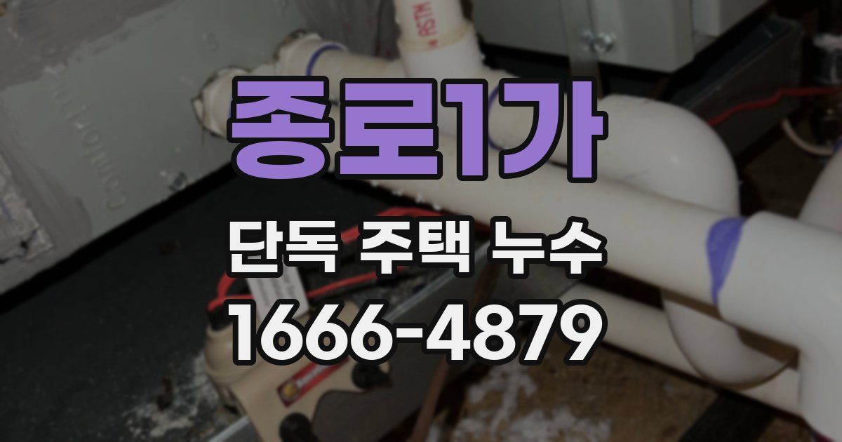 종로1가 단독 주택 누수