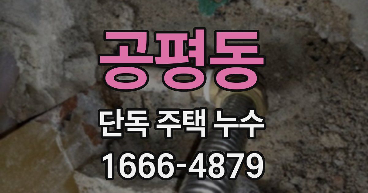 공평동 단독 주택 누수