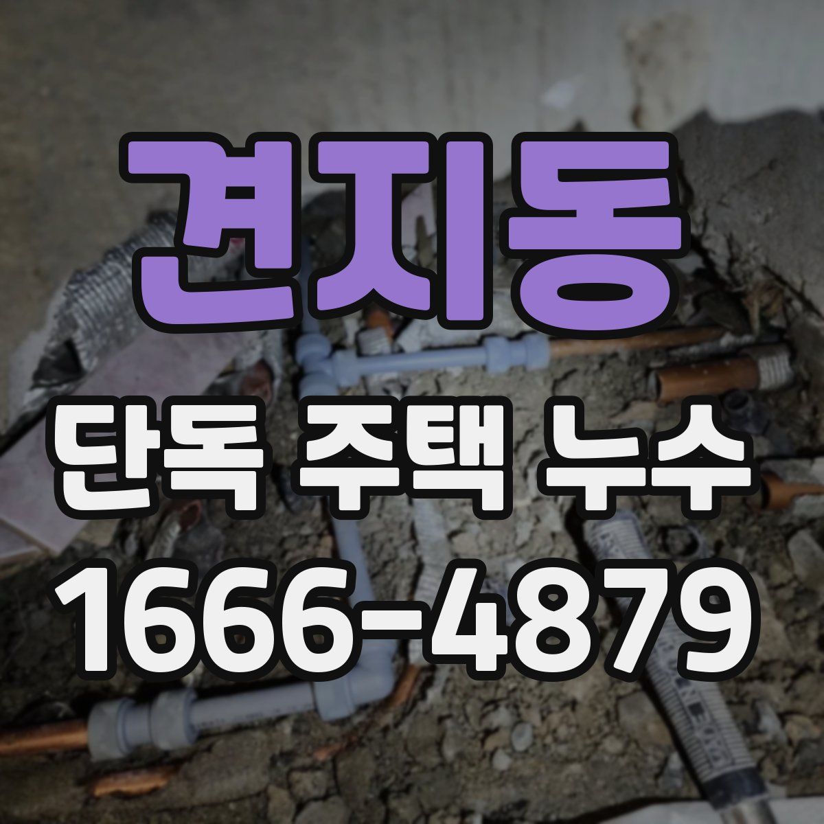 견지동 단독 주택 누수