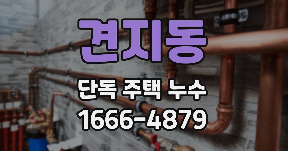 견지동 단독 주택 누수