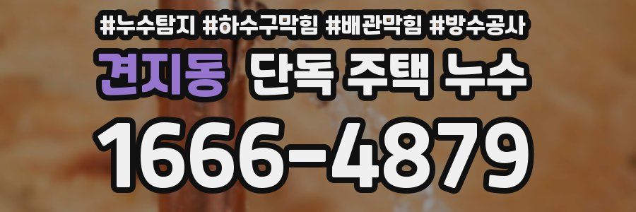 견지동 단독 주택 누수
