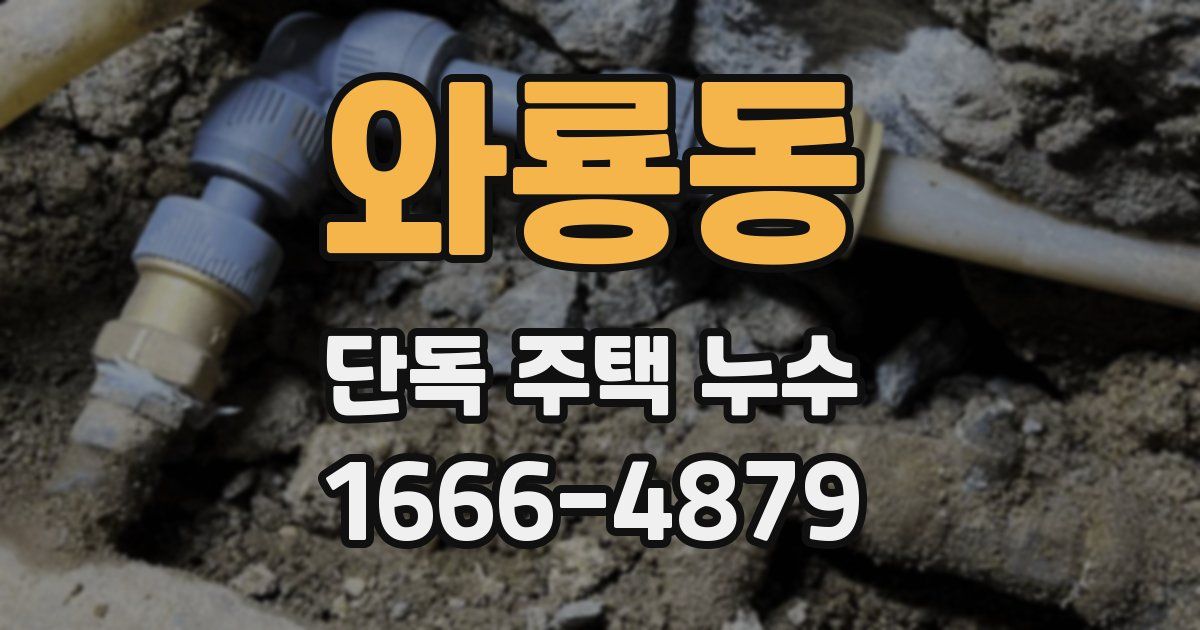 와룡동 단독 주택 누수