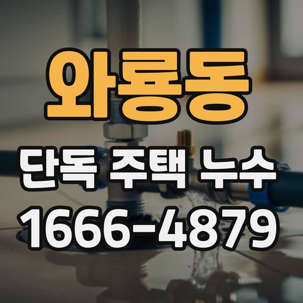 와룡동 단독 주택 누수