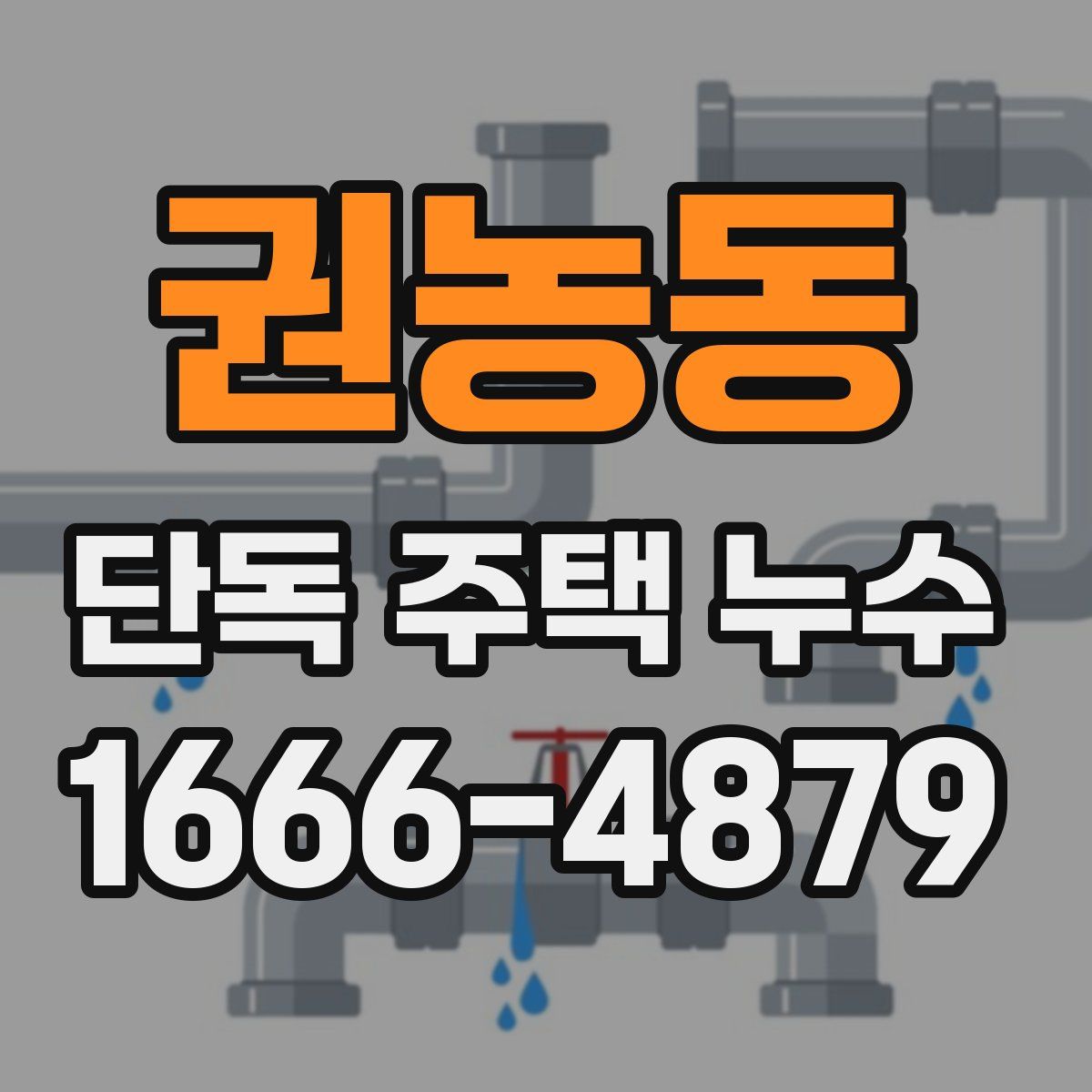 권농동 단독 주택 누수