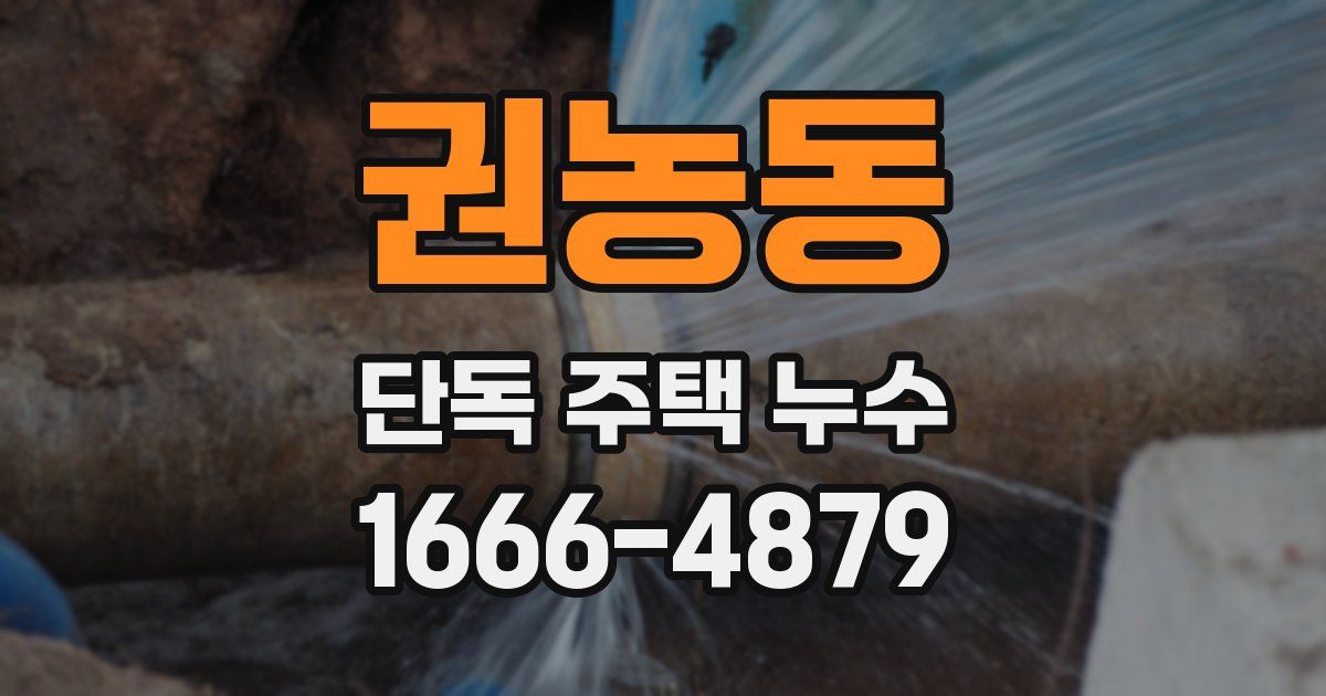 권농동 단독 주택 누수