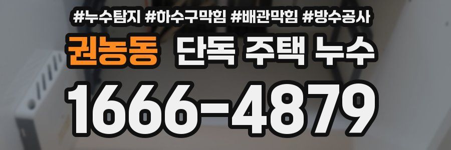 권농동 단독 주택 누수