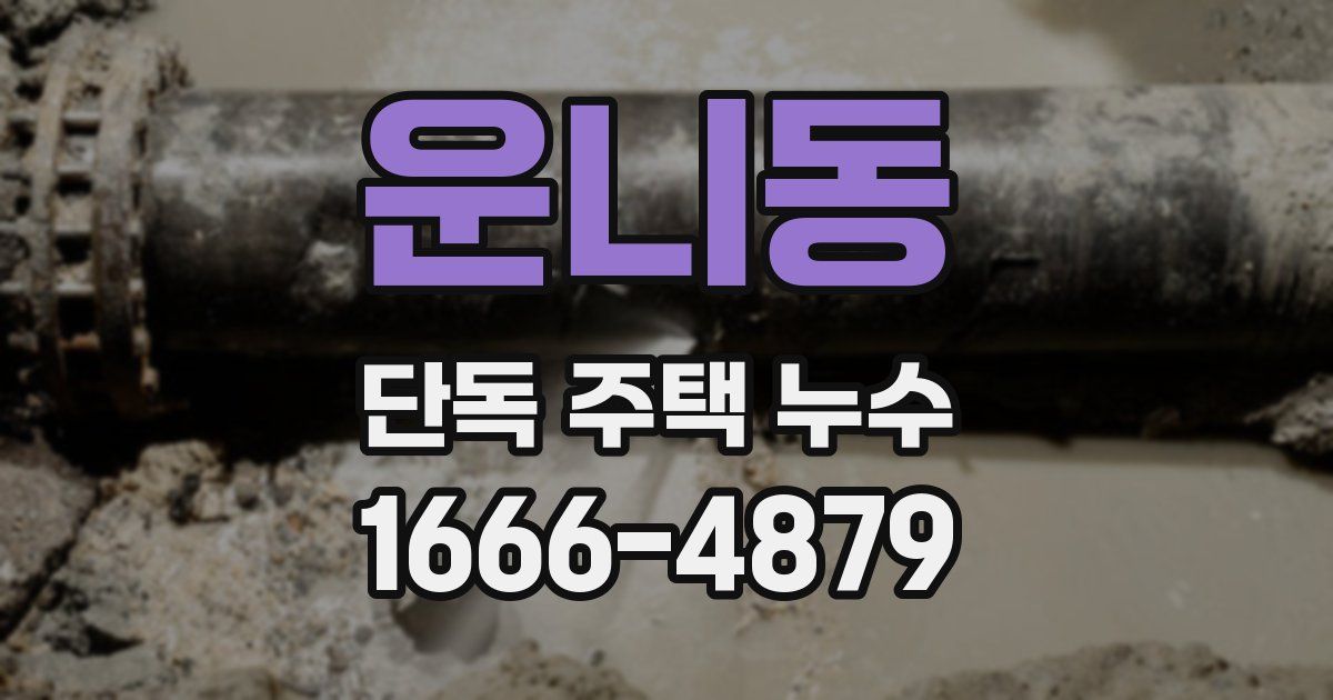 운니동 단독 주택 누수