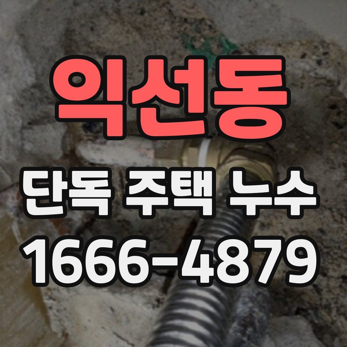 익선동 단독 주택 누수 점검 전 알아둘 사항