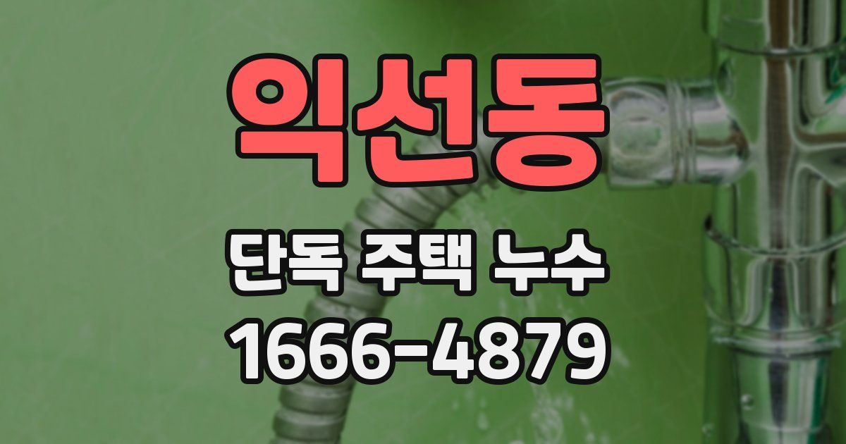 익선동 단독 주택 누수