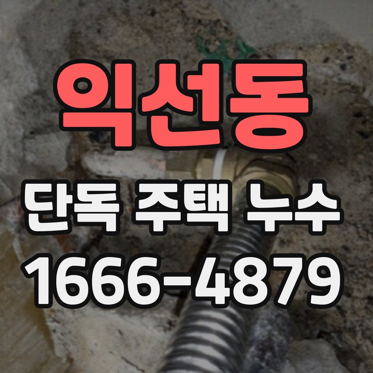 익선동 단독 주택 누수