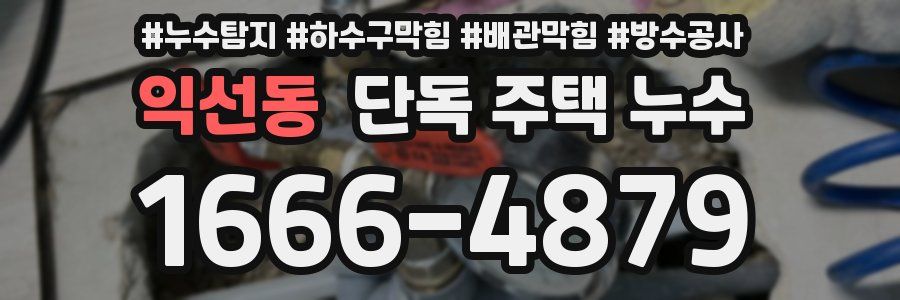 익선동 단독 주택 누수