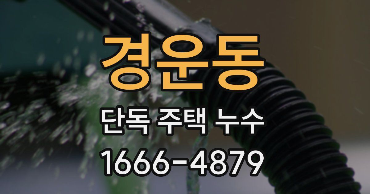 경운동 단독 주택 누수