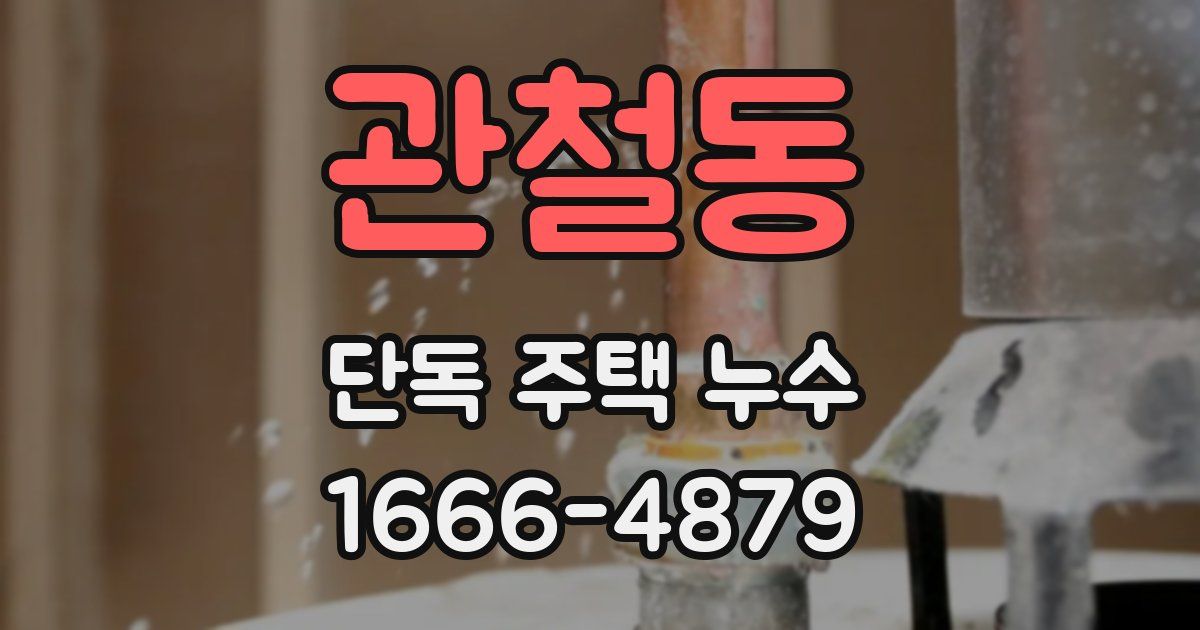 관철동 단독 주택 누수
