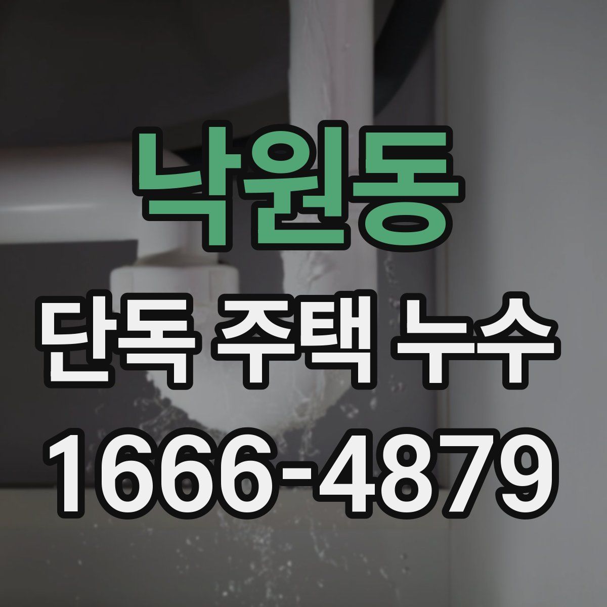 낙원동 단독 주택 누수