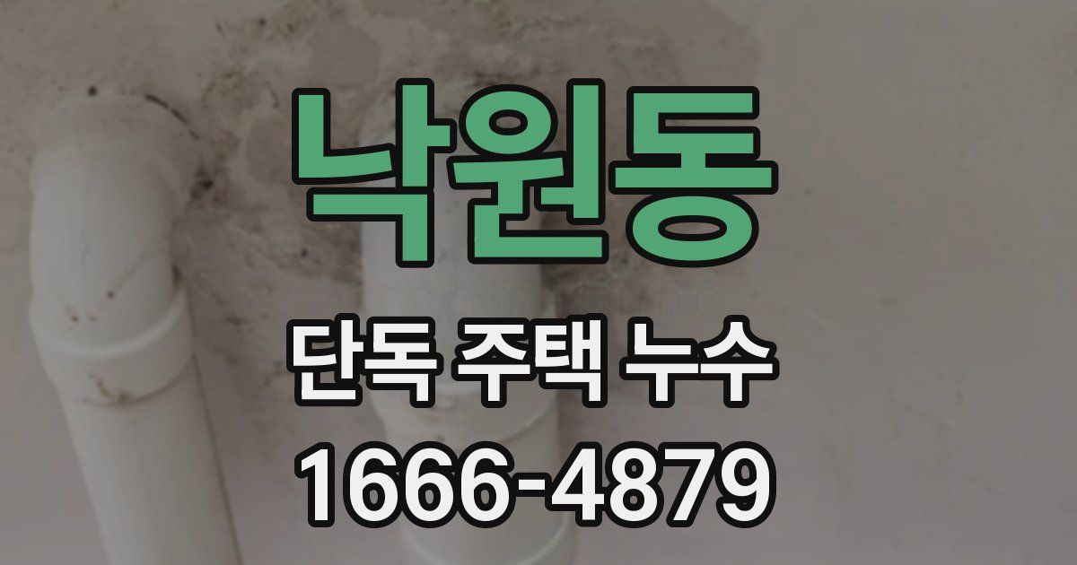 낙원동 단독 주택 누수