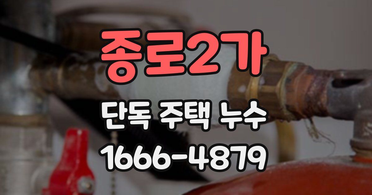 종로2가 단독 주택 누수