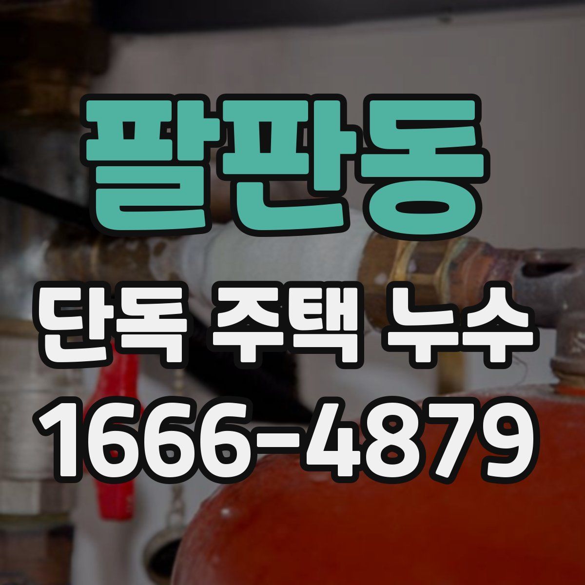 팔판동 단독 주택 누수