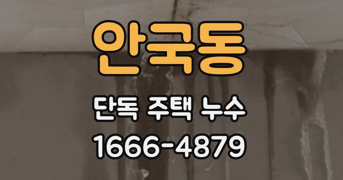 안국동 단독 주택 누수