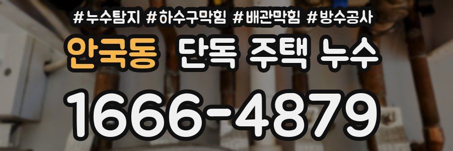 안국동 단독 주택 누수