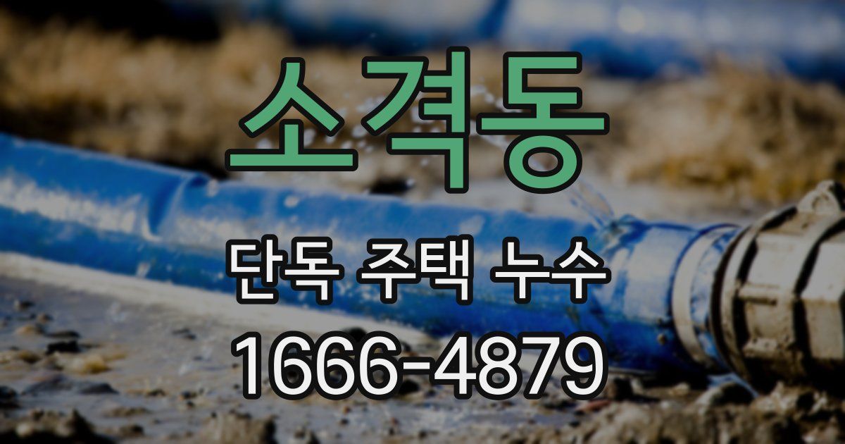 소격동 단독 주택 누수