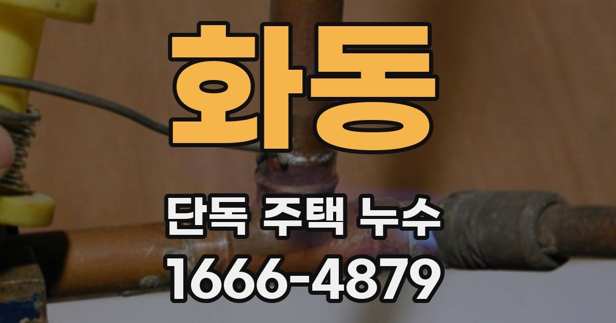 화동 단독 주택 누수