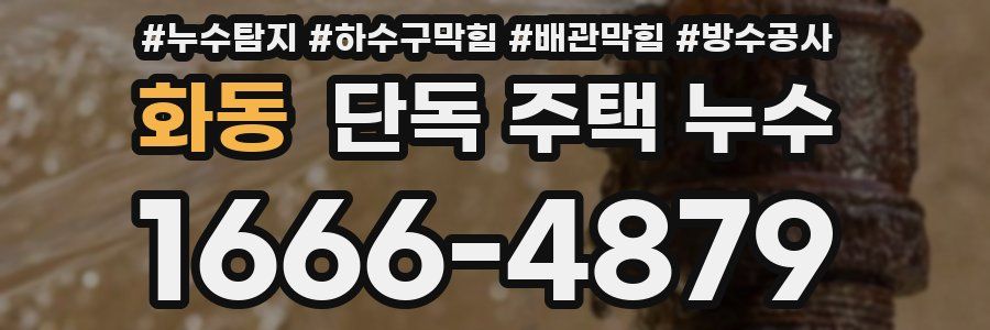 화동 단독 주택 누수