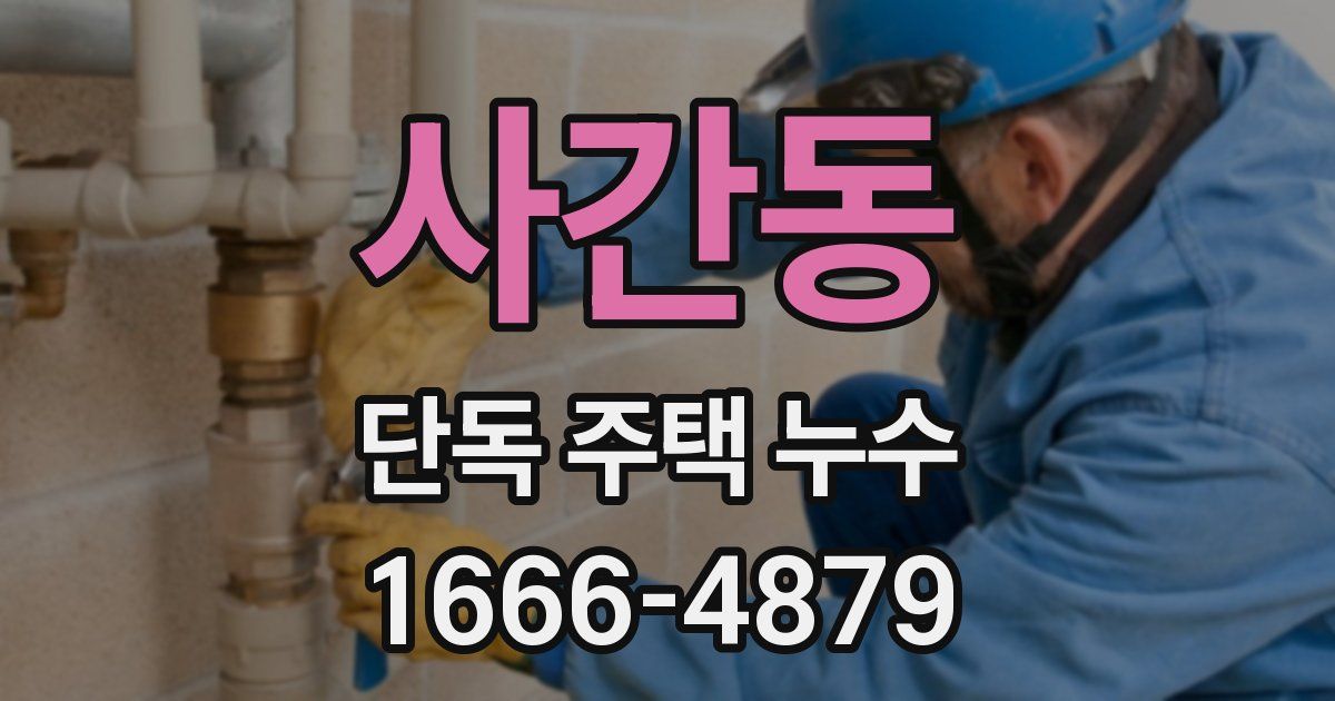 사간동 단독 주택 누수