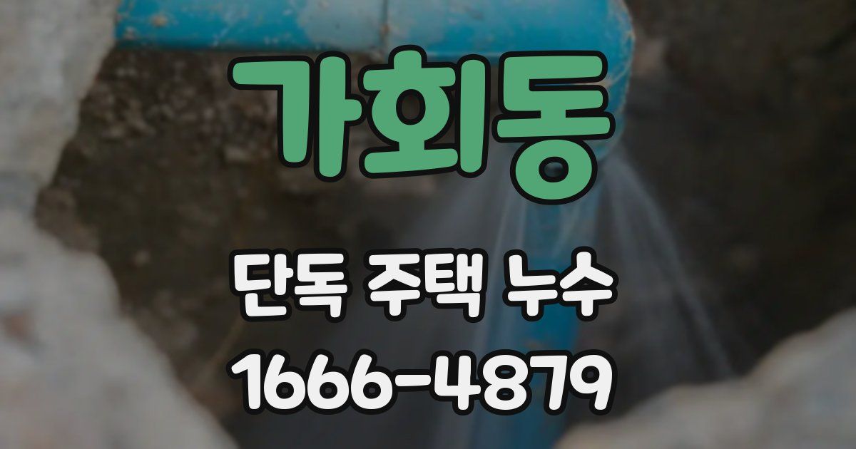 가회동 단독 주택 누수