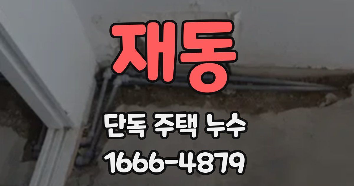 재동 단독 주택 누수