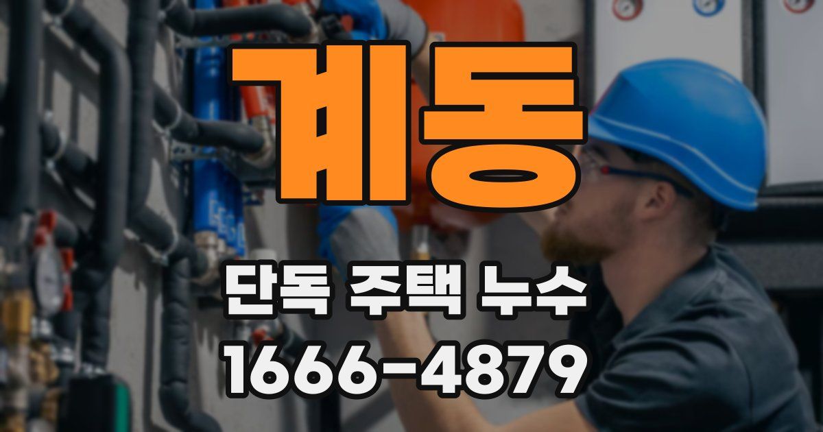 계동 단독 주택 누수