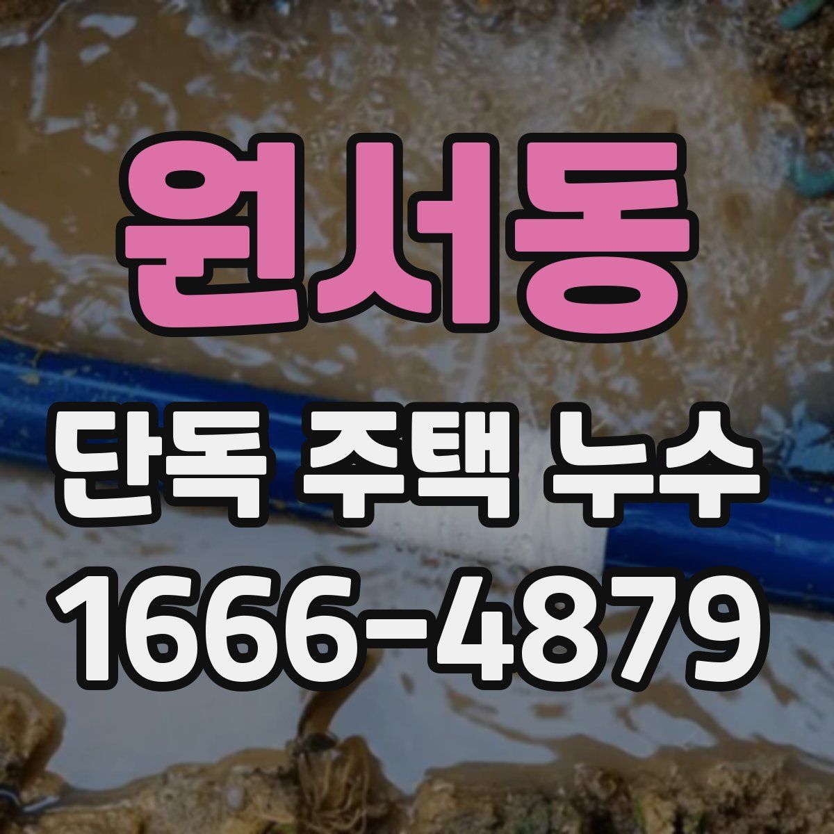 원서동 단독 주택 누수