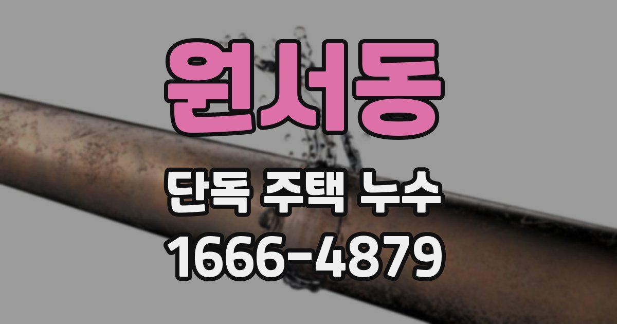 원서동 단독 주택 누수