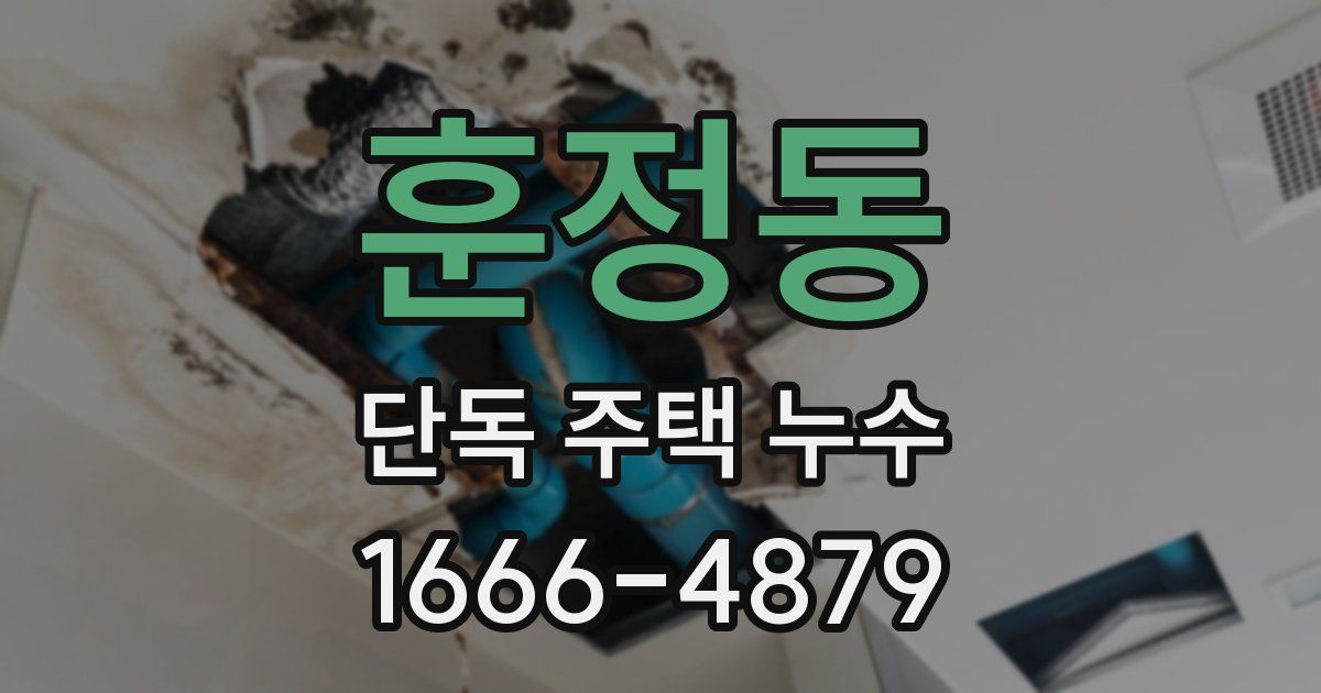 훈정동 단독 주택 누수