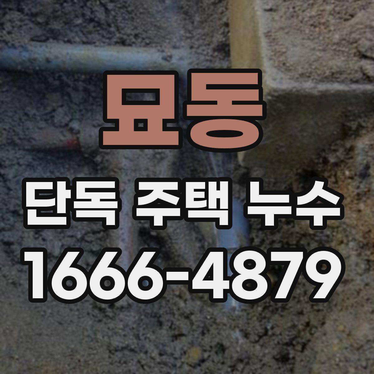 묘동 단독 주택 누수