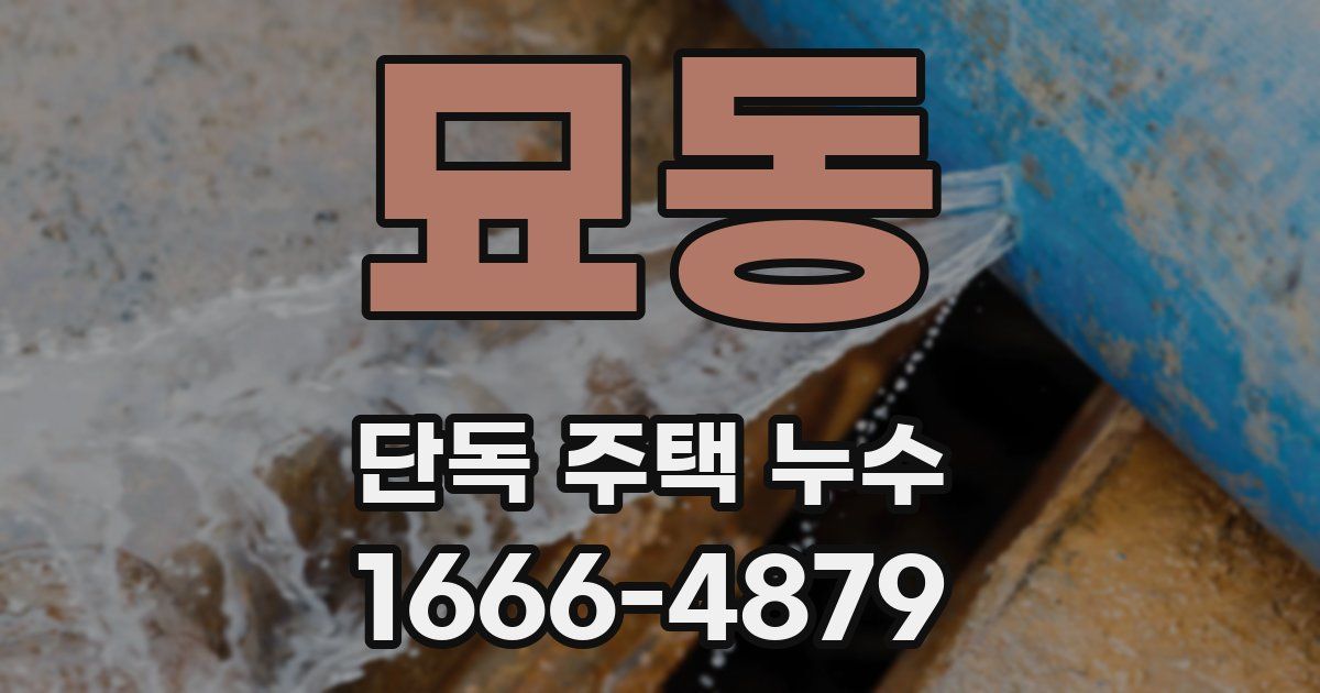 묘동 단독 주택 누수