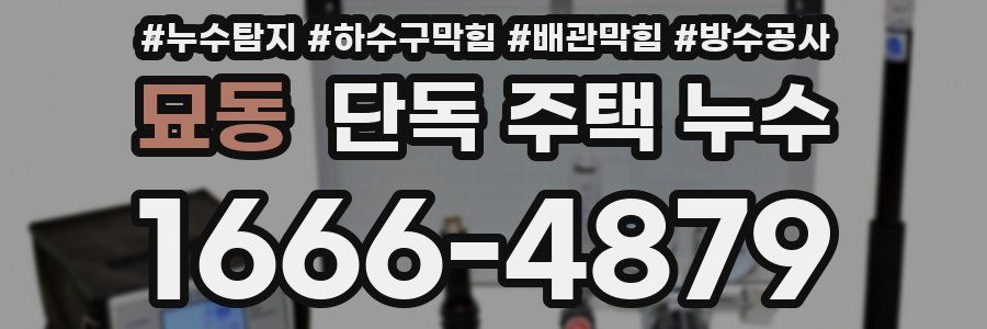 묘동 단독 주택 누수