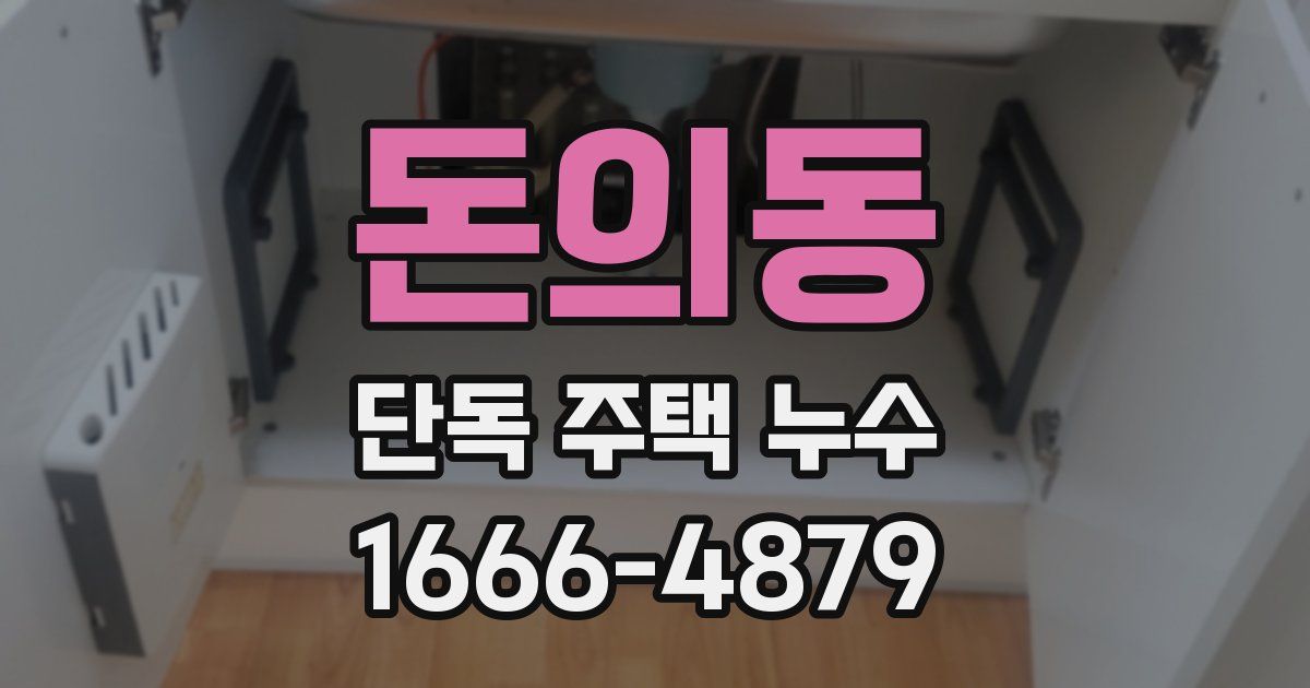 돈의동 단독 주택 누수