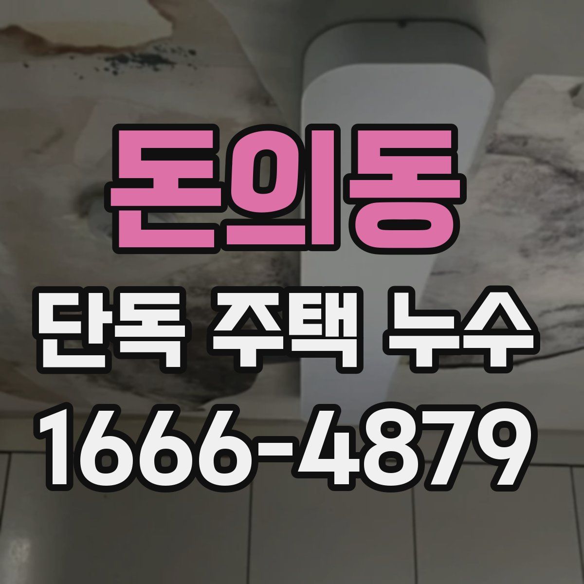 돈의동 단독 주택 누수