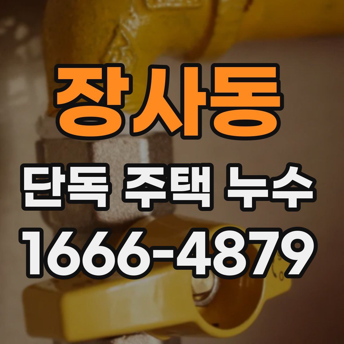 장사동 단독 주택 누수