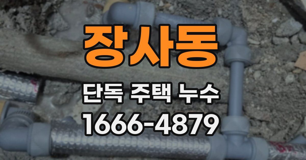 장사동 단독 주택 누수