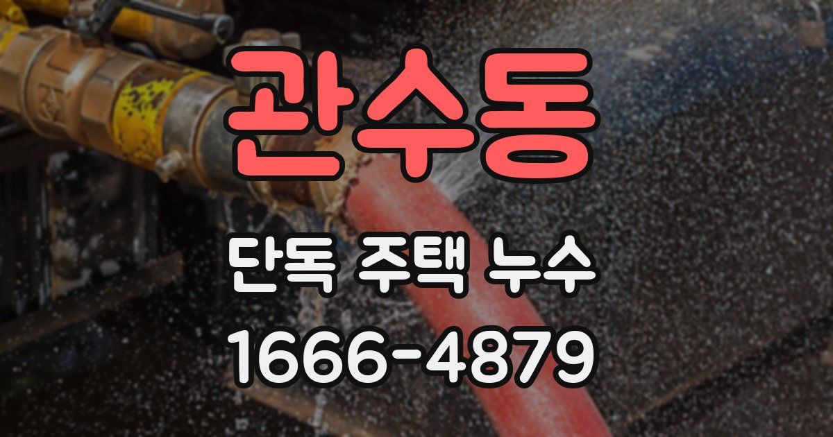 관수동 단독 주택 누수