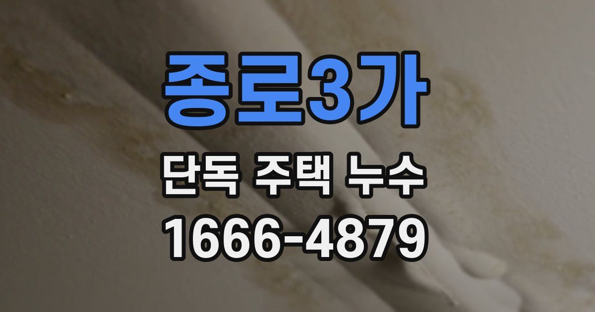 종로3가 단독 주택 누수