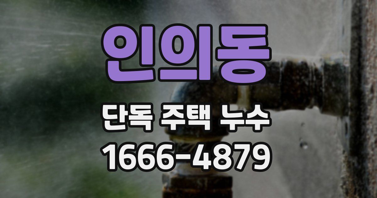인의동 단독 주택 누수