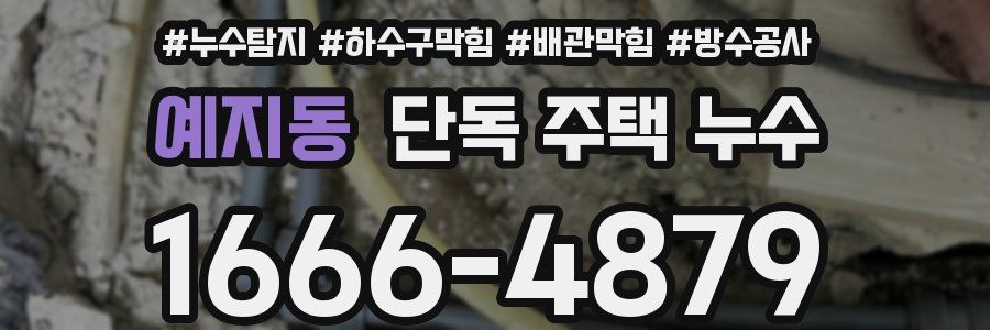 예지동 단독 주택 누수