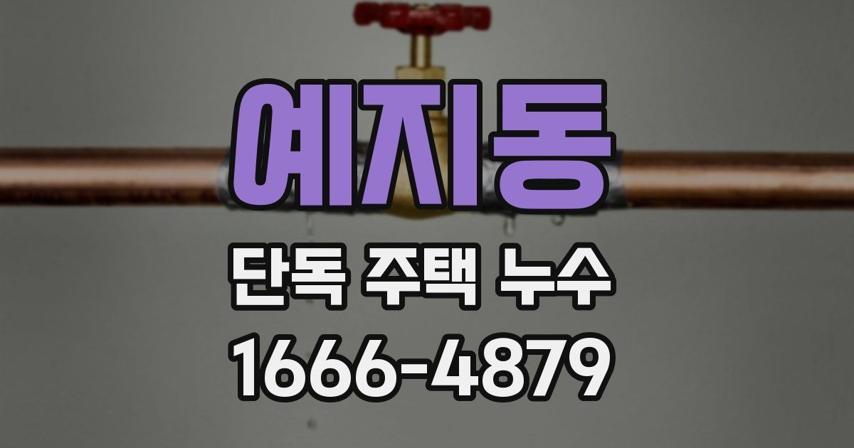 예지동 단독 주택 누수