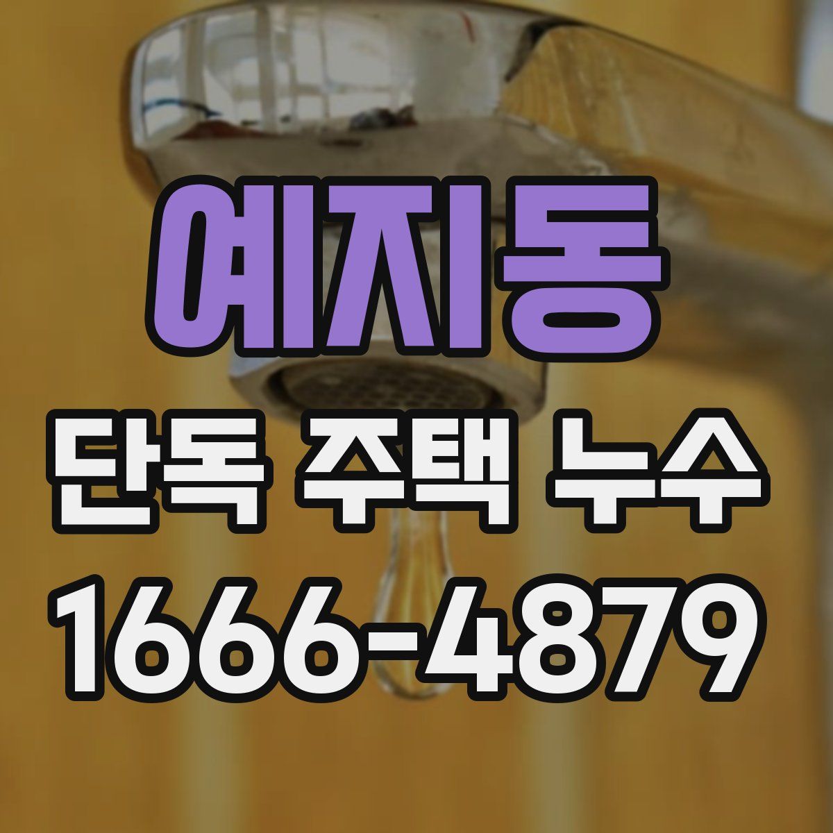 예지동 단독 주택 누수