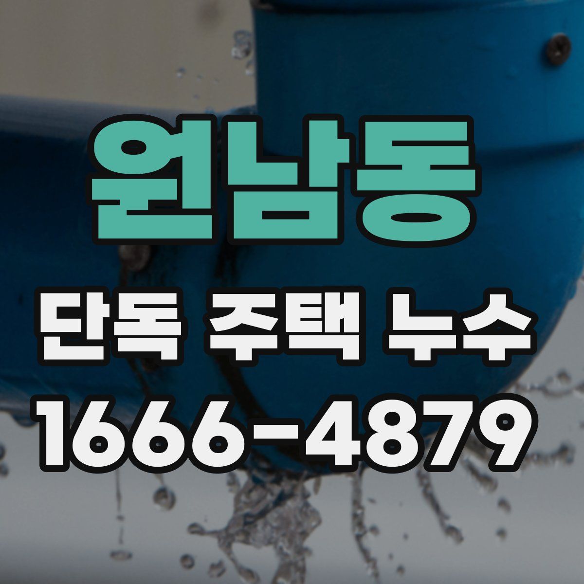원남동 단독 주택 누수