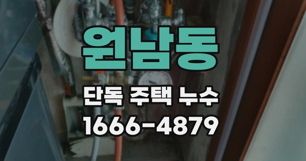 원남동 단독 주택 누수